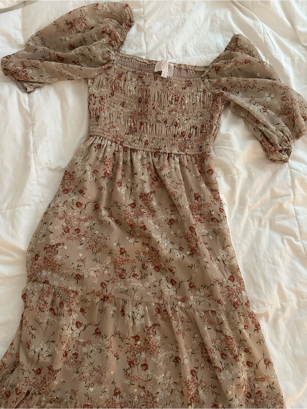 Francesca's Collections Beige Floral Maxi Dress with Rust & Cream Flowers